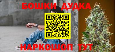 стафф Можга